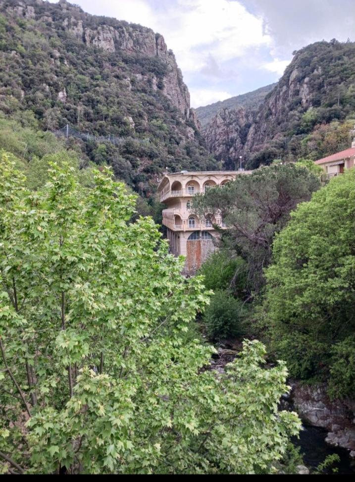 Las Tortoras Appartement Amélie-les-Bains-Palalda Buitenkant foto
